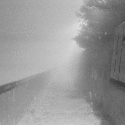 A very foggy path by the river, there may be ghosts, it's too foggy to tell.